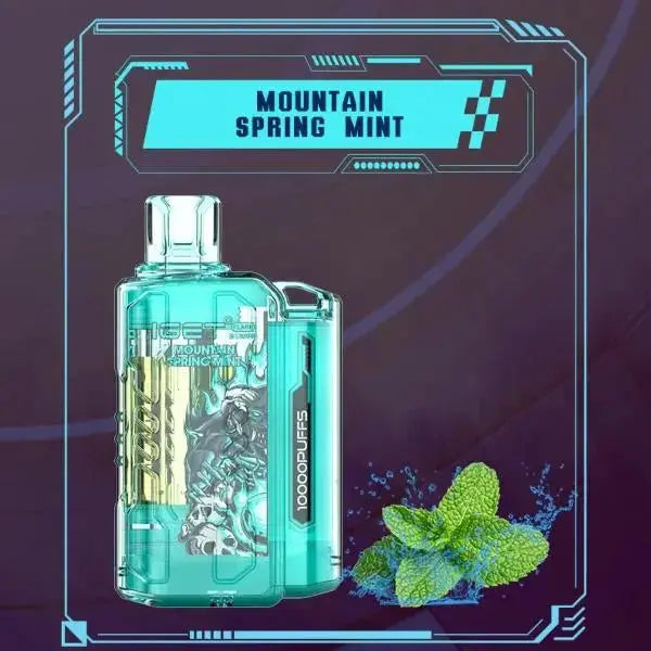 IGET FLARE B10000 – Mountain Spring Mint - Vape Shop Ahmedabad VapeshopAhmedabad