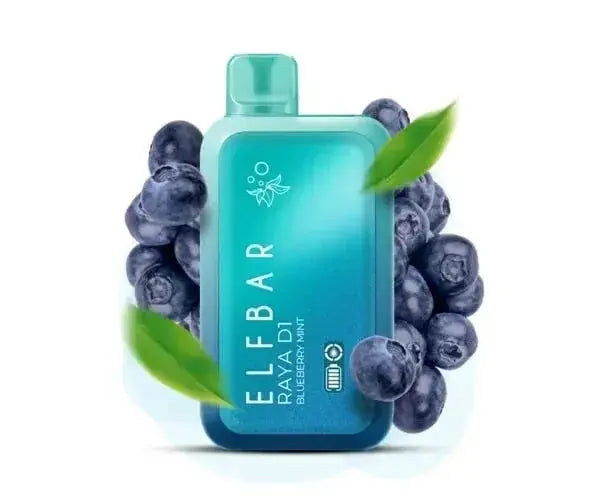 ELF BAR RAYA D1 – Blueberry Mint - Vape Shop Ahmedabad VapeshopAhmedabad
